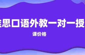 雅思口语外教一对一教学价格缩略图